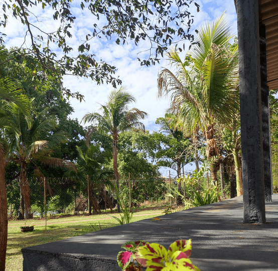 Renovo Centro Terapeutico Para Dependentes Químicos