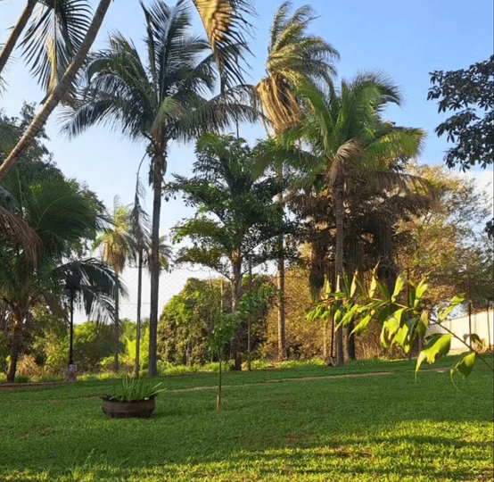 Renovo Centro Terapeutico Para Dependentes Químicos