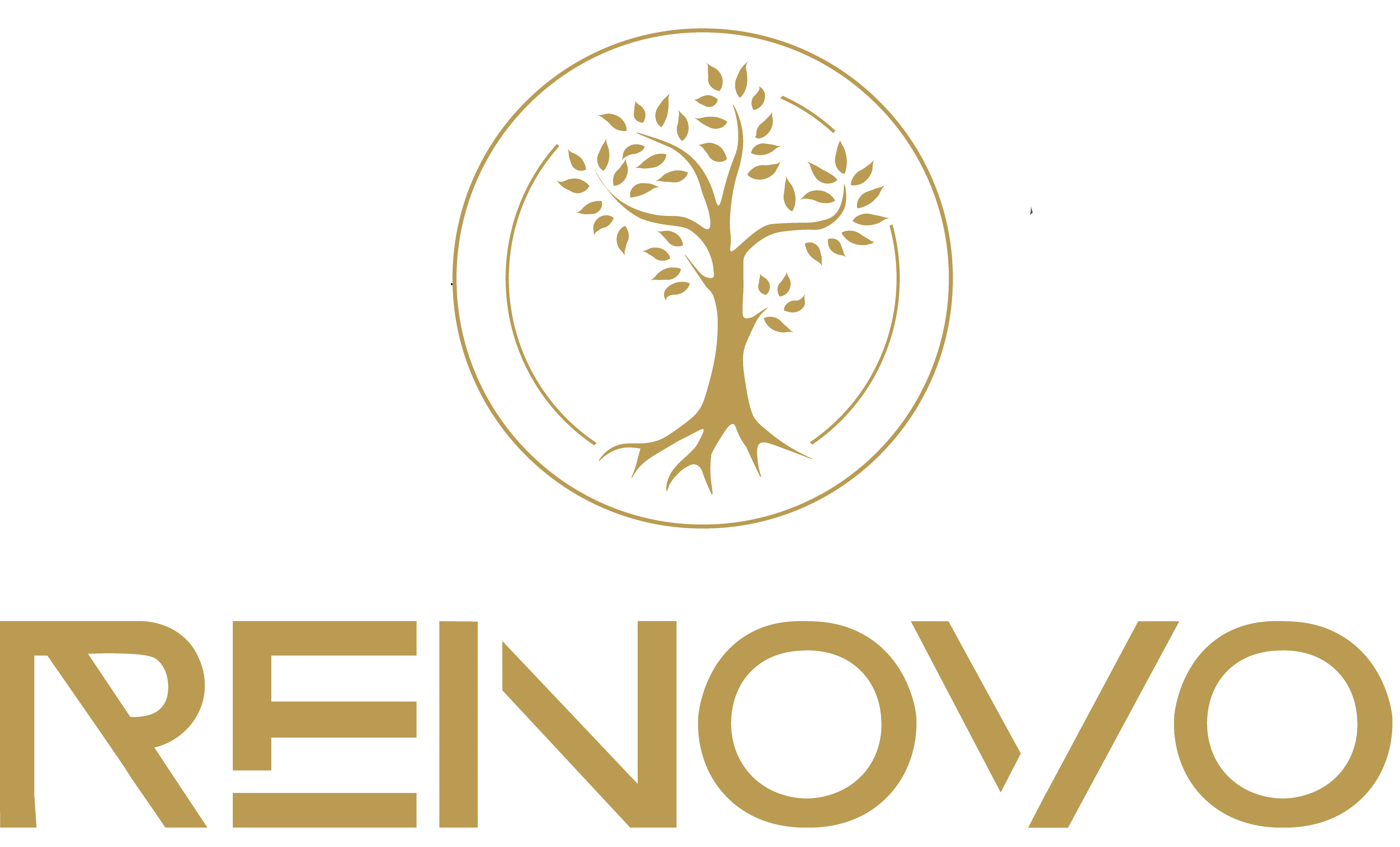 Renovo Centro Terapeutico Para Dependentes Químicos