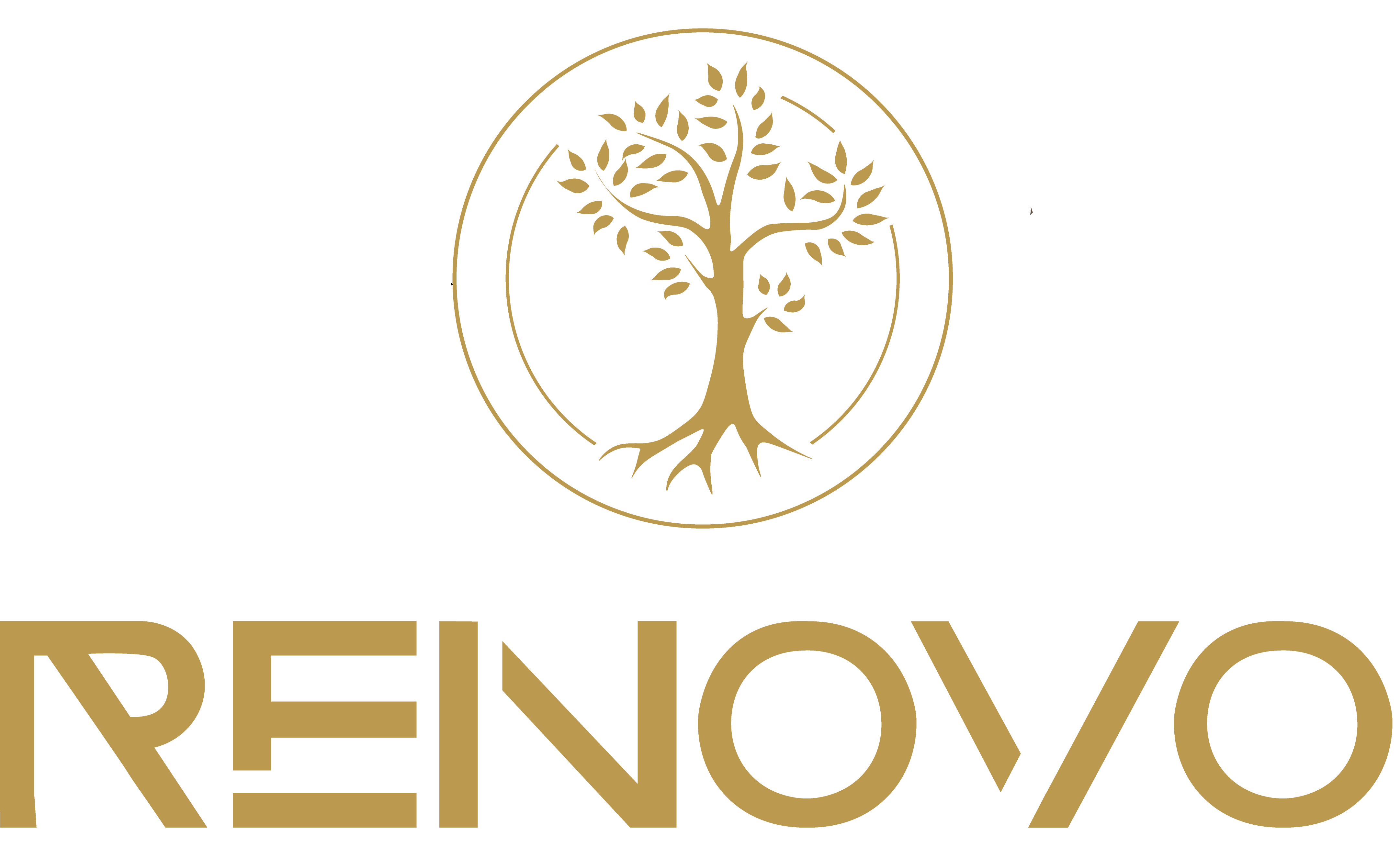 Renovo Centro Terapeutico Para Dependentes Químicos 