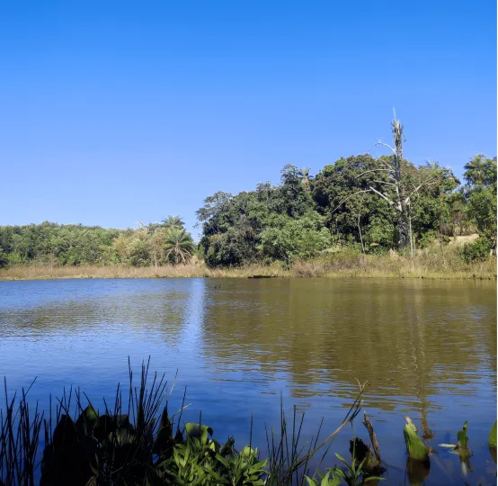 Renovo Centro Terapeutico Para Dependentes Químicos