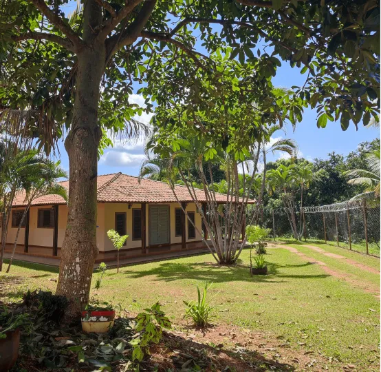 Renovo Centro Terapeutico Para Dependentes Químicos